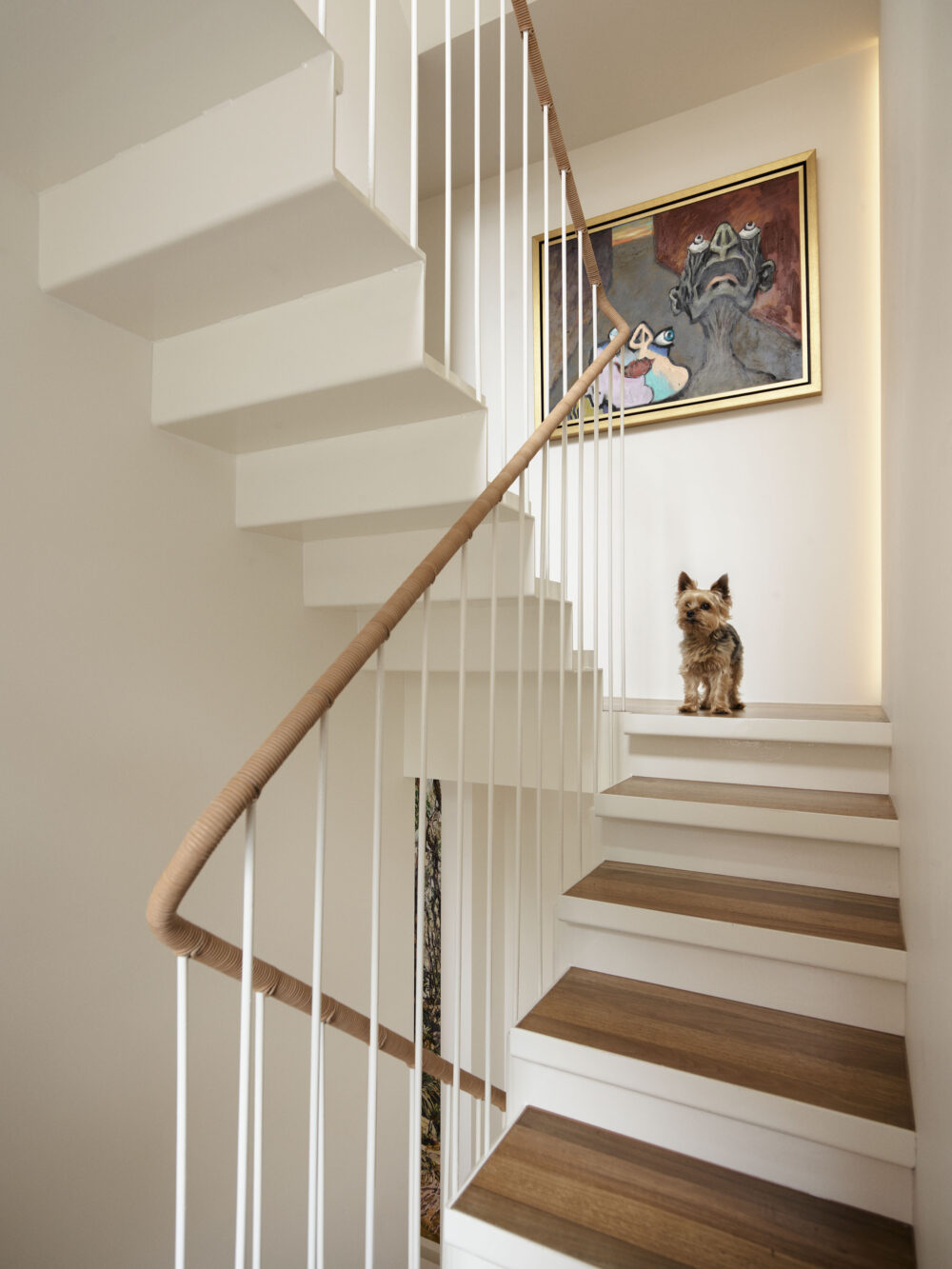 Commendations for 19 Waterloo Street at the Houses Awards - SJB