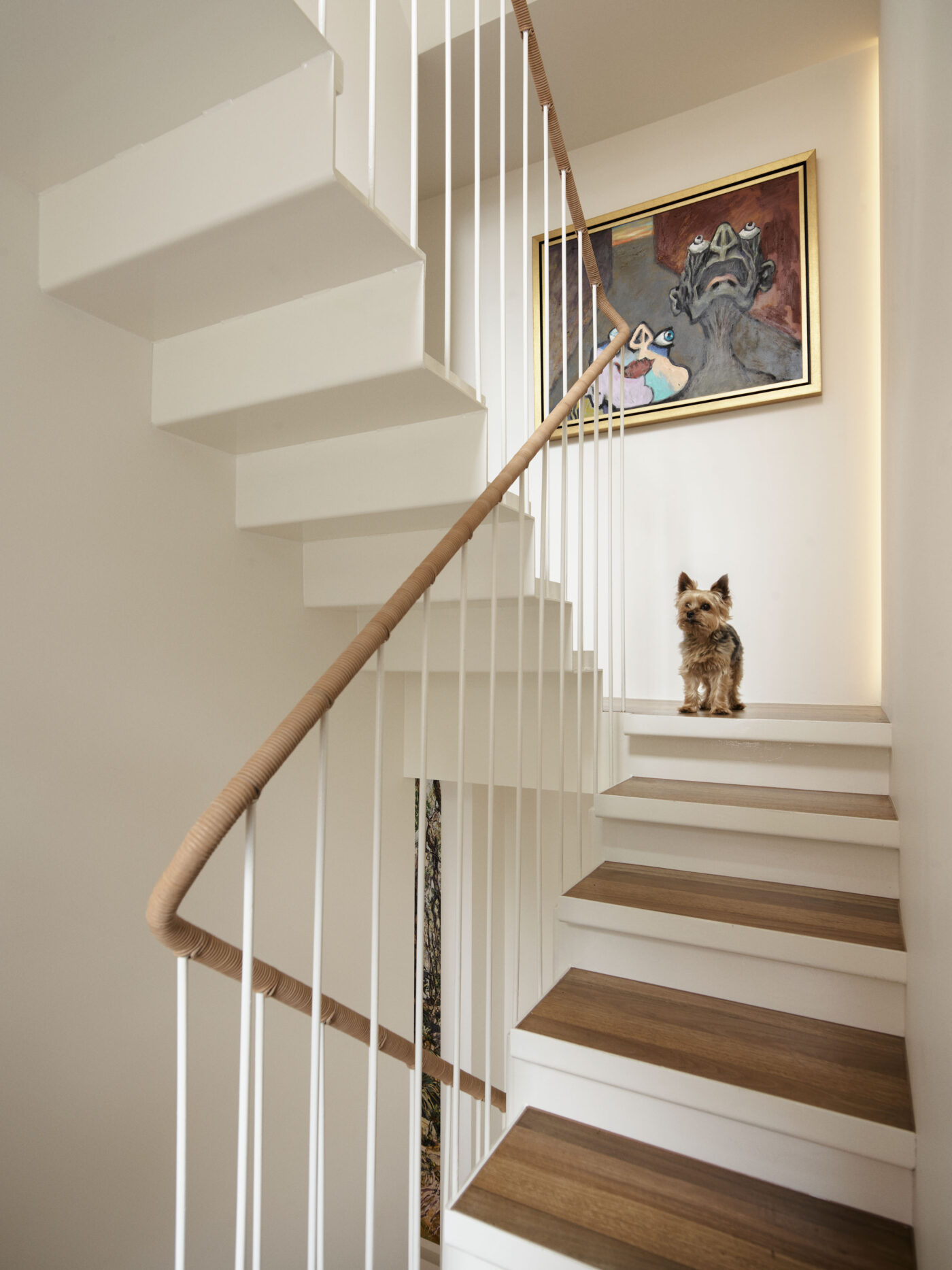 Commendations for 19 Waterloo Street at the Houses Awards - SJB